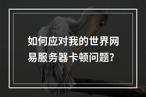 如何应对我的世界网易服务器卡顿问题？