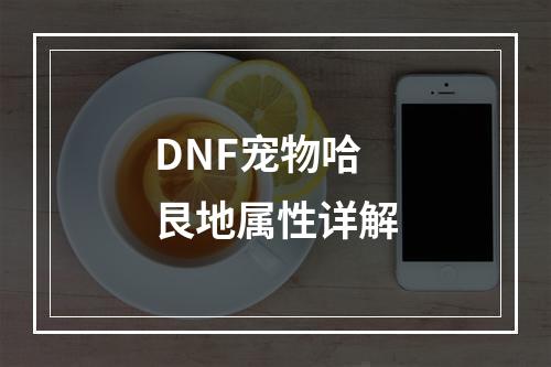 DNF宠物哈艮地属性详解