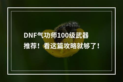 DNF气功师100级武器推荐！看这篇攻略就够了！