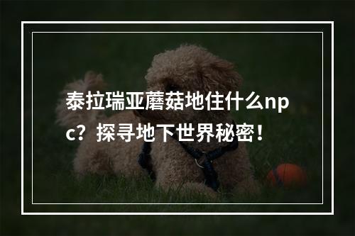 泰拉瑞亚蘑菇地住什么npc？探寻地下世界秘密！