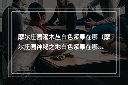 摩尔庄园灌木丛白色浆果在哪（摩尔庄园神秘之地白色浆果在哪？攻略指南）