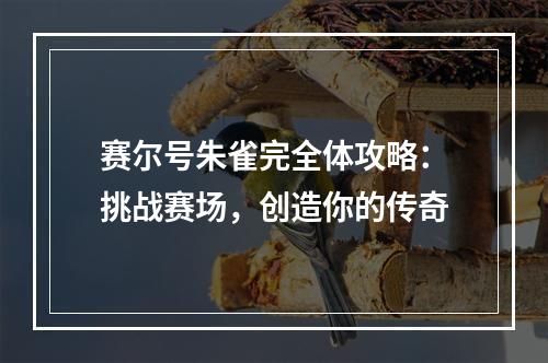 赛尔号朱雀完全体攻略：挑战赛场，创造你的传奇