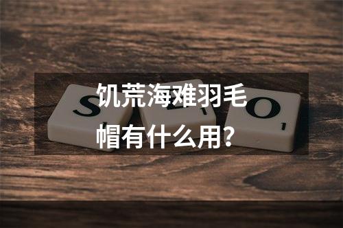 饥荒海难羽毛帽有什么用？