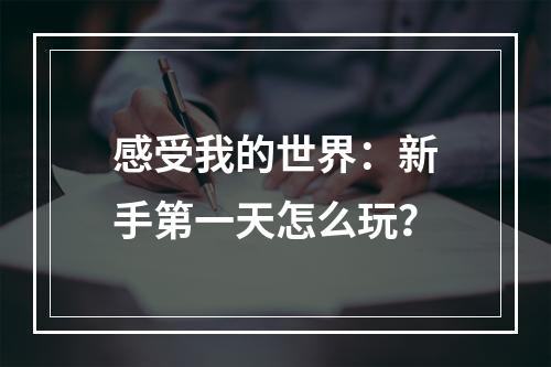 感受我的世界：新手第一天怎么玩？