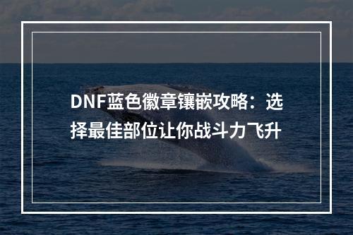 DNF蓝色徽章镶嵌攻略：选择最佳部位让你战斗力飞升