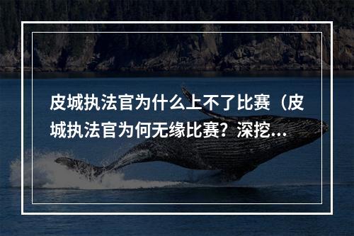 皮城执法官为什么上不了比赛（皮城执法官为何无缘比赛？深挖LPL新政策实名制限制）