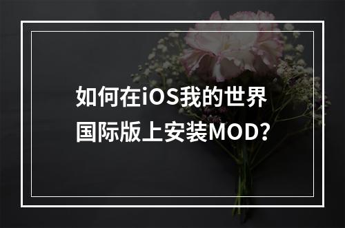 如何在iOS我的世界国际版上安装MOD？