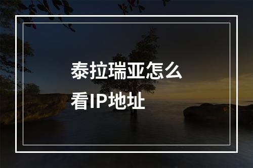 泰拉瑞亚怎么看IP地址