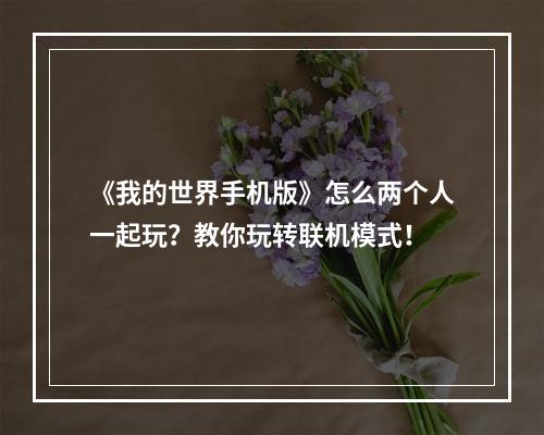 《我的世界手机版》怎么两个人一起玩？教你玩转联机模式！