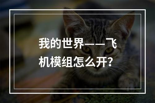 我的世界——飞机模组怎么开？