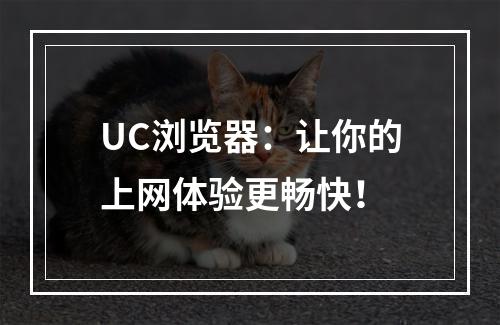 UC浏览器：让你的上网体验更畅快！