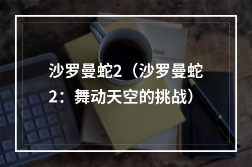 沙罗曼蛇2（沙罗曼蛇2：舞动天空的挑战）