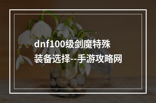 dnf100级剑魔特殊装备选择--手游攻略网