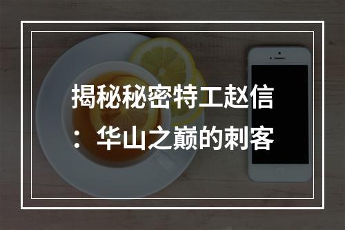 揭秘秘密特工赵信：华山之巅的刺客