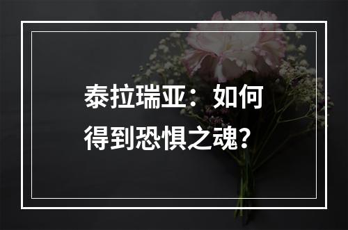 泰拉瑞亚：如何得到恐惧之魂？