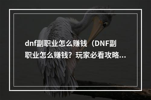 dnf副职业怎么赚钱（DNF副职业怎么赚钱？玩家必看攻略）