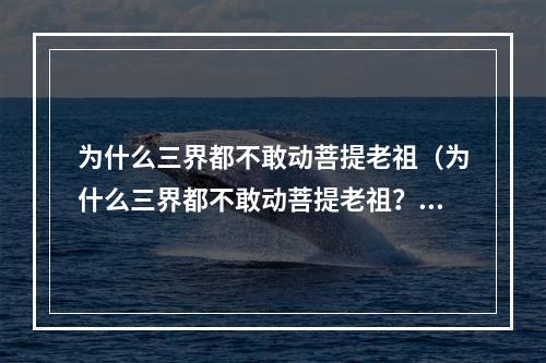 为什么三界都不敢动菩提老祖（为什么三界都不敢动菩提老祖？）