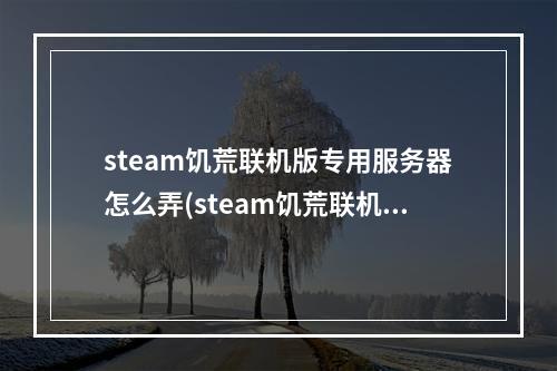 steam饥荒联机版专用服务器怎么弄(steam饥荒联机版专用服务器怎么弄贴吧)