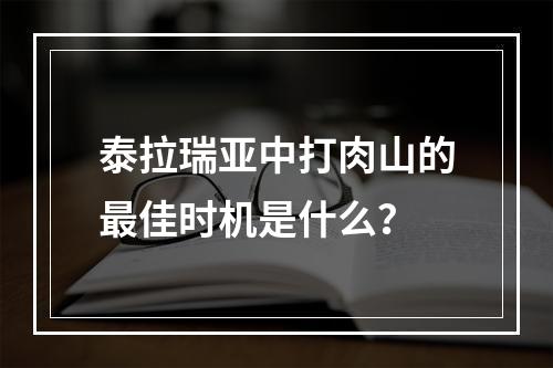 泰拉瑞亚中打肉山的最佳时机是什么？