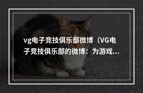 vg电子竞技俱乐部微博（VG电子竞技俱乐部的微博：为游戏爱好者带来更多精彩内容）