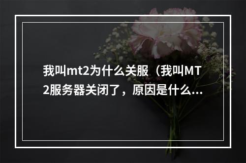 我叫mt2为什么关服（我叫MT2服务器关闭了，原因是什么？）