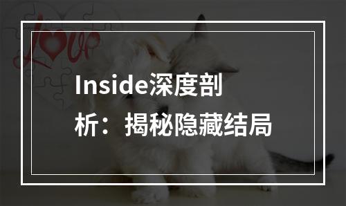 Inside深度剖析：揭秘隐藏结局