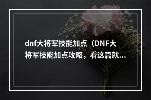 dnf大将军技能加点（DNF大将军技能加点攻略，看这篇就够了！）