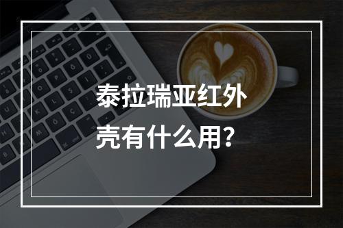 泰拉瑞亚红外壳有什么用？