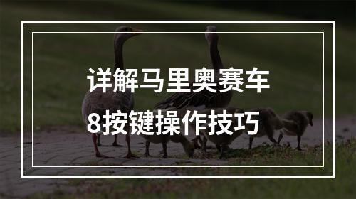 详解马里奥赛车8按键操作技巧