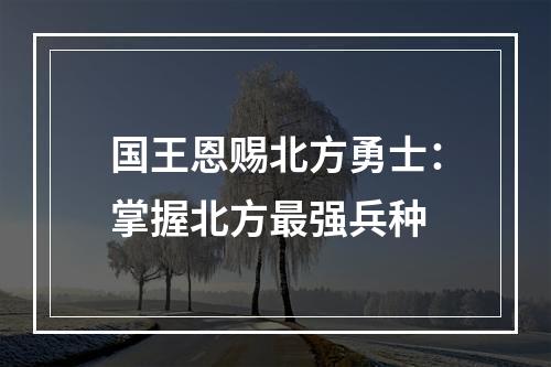 国王恩赐北方勇士：掌握北方最强兵种