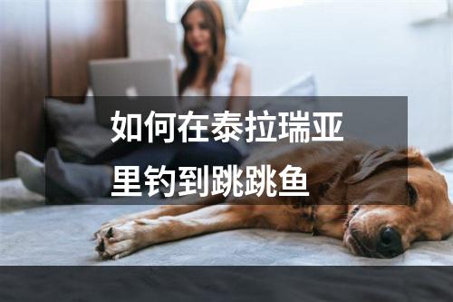 如何在泰拉瑞亚里钓到跳跳鱼