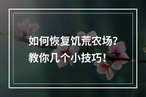 如何恢复饥荒农场？教你几个小技巧！