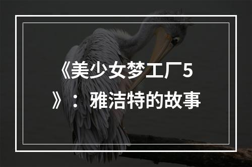 《美少女梦工厂5》：雅洁特的故事