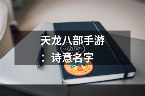 天龙八部手游：诗意名字