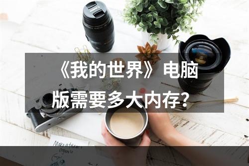 《我的世界》电脑版需要多大内存？