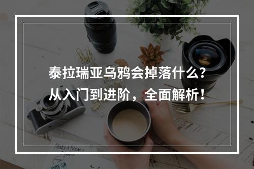 泰拉瑞亚乌鸦会掉落什么？从入门到进阶，全面解析！