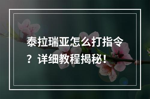 泰拉瑞亚怎么打指令？详细教程揭秘！