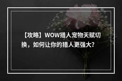 【攻略】WOW猎人宠物天赋切换，如何让你的猎人更强大？