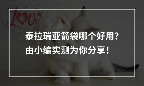 泰拉瑞亚箭袋哪个好用？由小编实测为你分享！