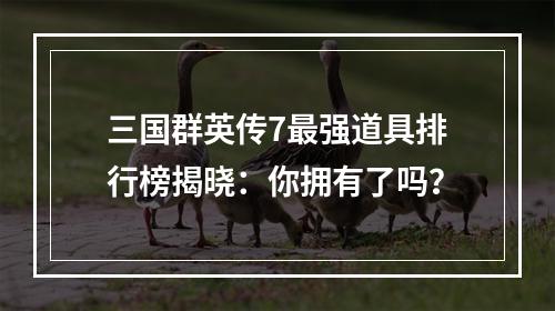 三国群英传7最强道具排行榜揭晓：你拥有了吗？