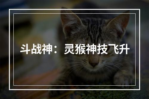 斗战神：灵猴神技飞升