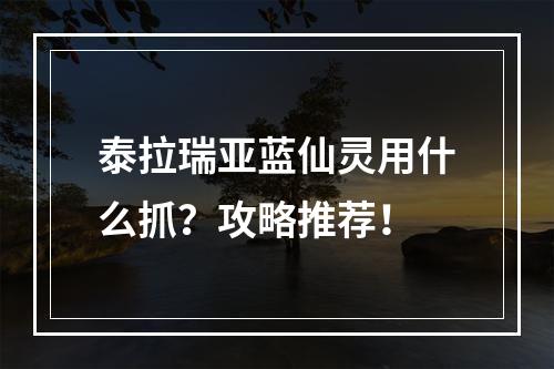 泰拉瑞亚蓝仙灵用什么抓？攻略推荐！