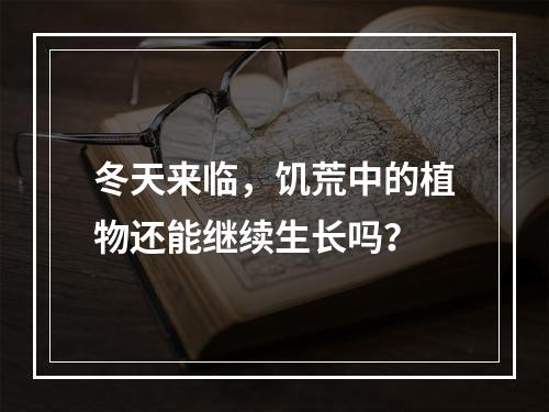 冬天来临，饥荒中的植物还能继续生长吗？