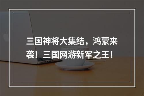 三国神将大集结，鸿蒙来袭！三国网游新军之王！