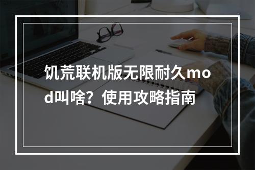 饥荒联机版无限耐久mod叫啥？使用攻略指南