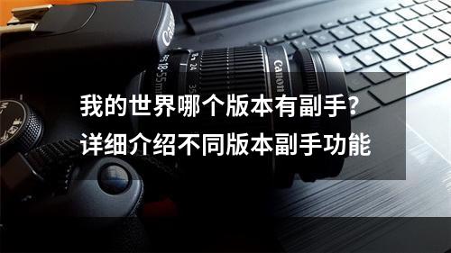 我的世界哪个版本有副手？详细介绍不同版本副手功能