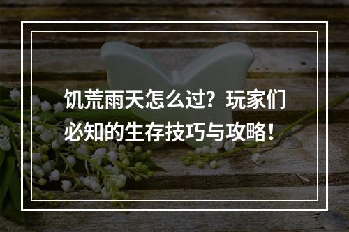 饥荒雨天怎么过？玩家们必知的生存技巧与攻略！