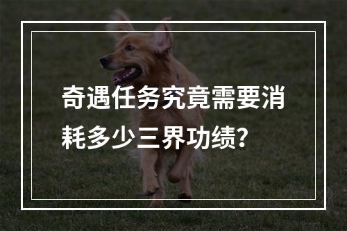 奇遇任务究竟需要消耗多少三界功绩？