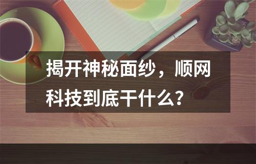 揭开神秘面纱，顺网科技到底干什么？