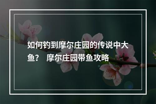 如何钓到摩尔庄园的传说中大鱼？  摩尔庄园带鱼攻略